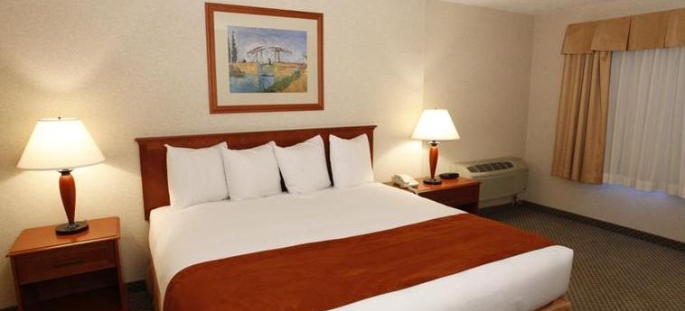 Hotel Comfort Inn & Suites Conference Centre:  VICTORIA