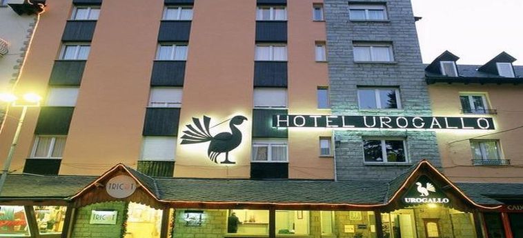 Hotel Husa Urogallo:  VIELHA