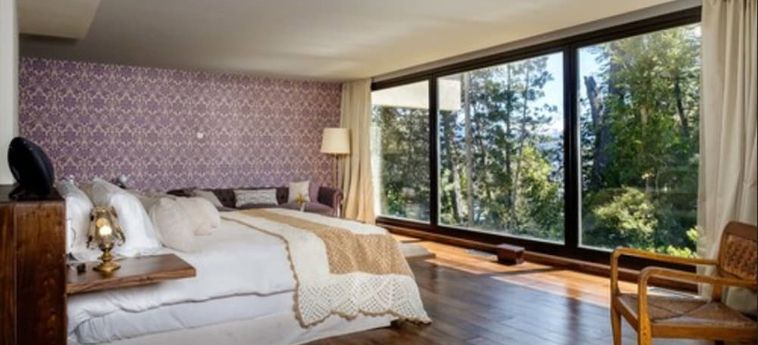 Calfuco Wine Hotel &Amp; Spa Villa La Angostura: Foto 