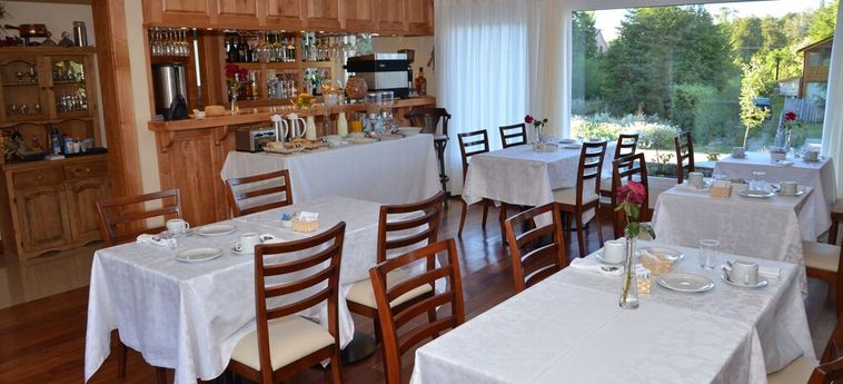 Hotel Alma Andina Hosteria Villa La Angostura: Foto 