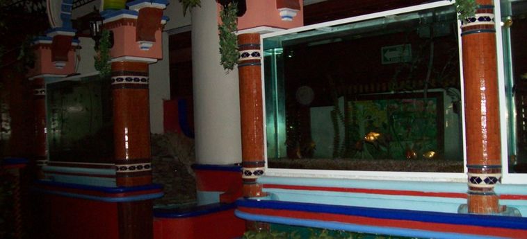 Hotel Baez Carrizal:  VILLAHERMOSA