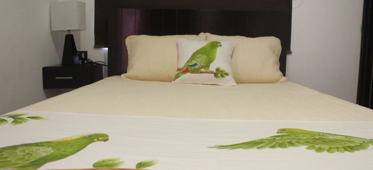 Hotel Casa Alberto Villahermosa: Foto 