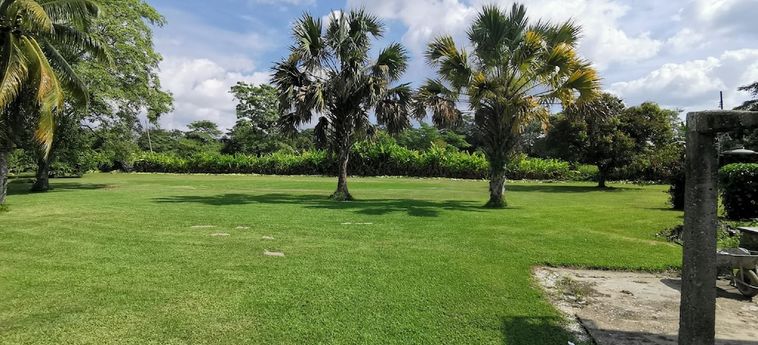 Hotel Cedros Villahermosa: Foto 