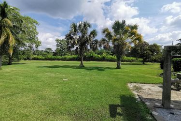 Hotel Cedros Villahermosa: Photo 