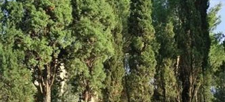 Hotel Villa Leonardo Vinci - Firenze: Foto 