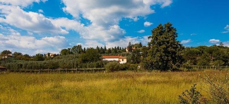Agriturismo Terre Di Leonardo:  VINCI - FIRENZE