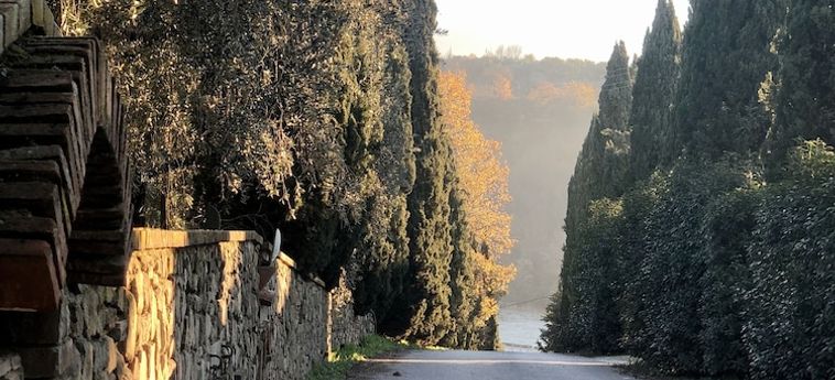 Agriturismo Terre Di Leonardo:  VINCI - FIRENZE
