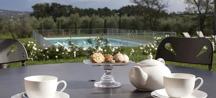 Agriturismo Cantagrillo Vinci - Firenze : Photo 