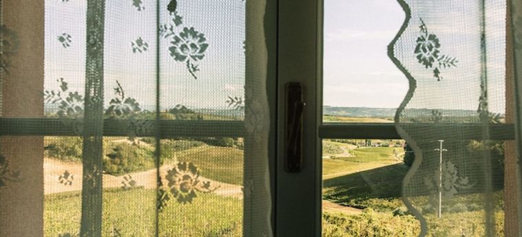 Agriturismo Il Principino Vinci - Firenze: Foto 