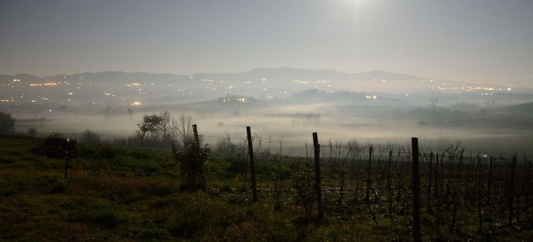 Agriturismo Spazzavento Vinci - Firenze: Foto 