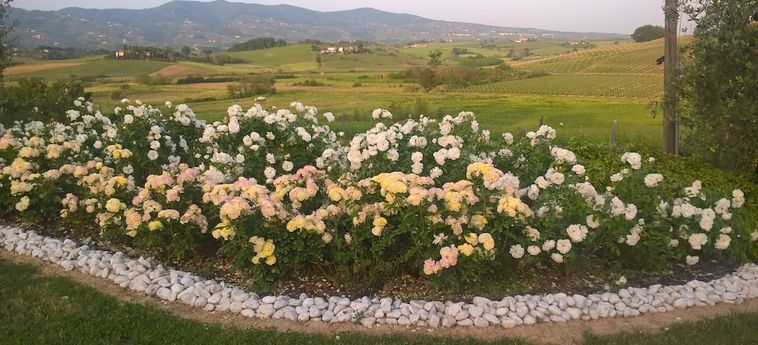 Agriturismo Spazzavento Vinci - Firenze: Foto 