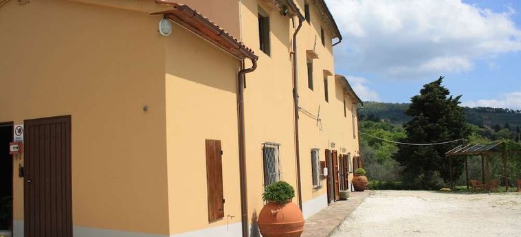 Agriturismo Comparini Le Balze Vinci - Firenze: Foto 
