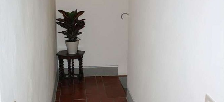 Agriturismo Comparini Le Balze Vinci - Firenze: Foto 