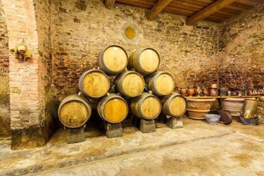 Agriturismo Comparini Le Balze Vinci - Firenze: Photo 