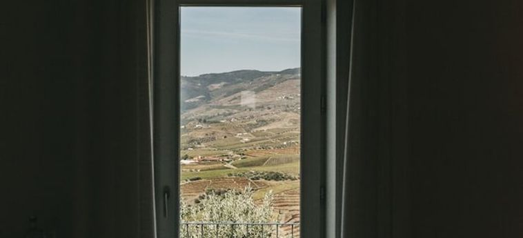 Ventozelo Hotel &Amp; Quinta Viseu: Foto 