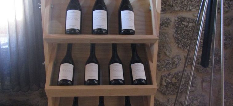 Quinta Do Medronheiro Hotel Rural Viseu: Foto 