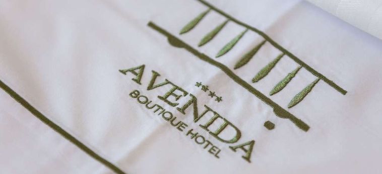 Hotel Avenida Viseu : Photo 