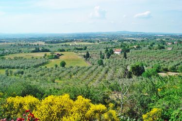 Agriturismo Montigliano:  VITERBO