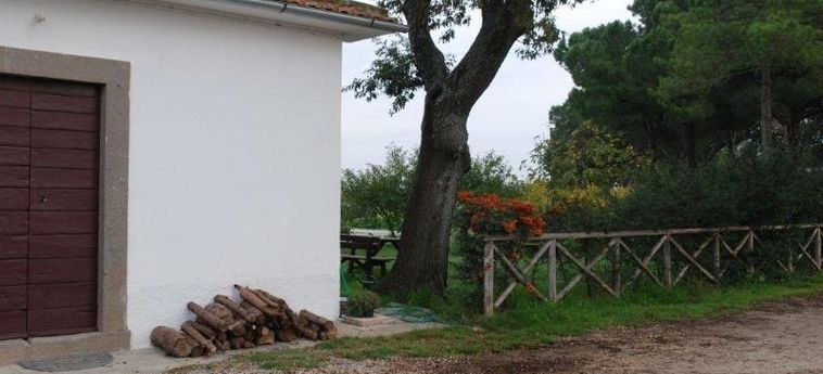 Hotel Bicoca - Nuova Fattoria Viterbo: Foto 