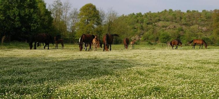 Hotel Bicoca - Nuova Fattoria Viterbo: Foto 
