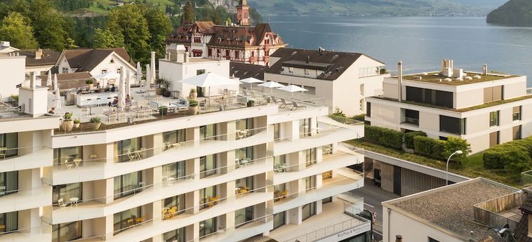 Neuro Campus Hotel:  VITZNAU