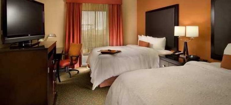 Hotel Hampton Inn & Suites Waco South:  WACO (TX)