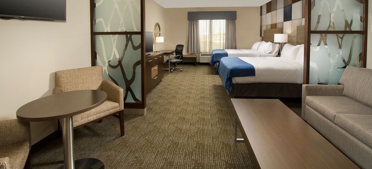 Hotel Holiday Inn Express & Suites Waco South:  WACO (TX)