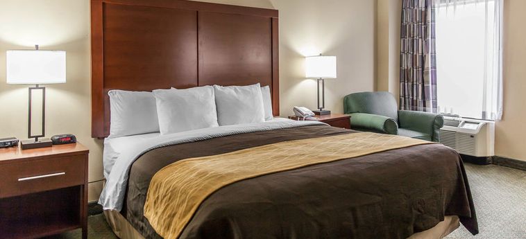 Hotel Comfort Inn Near The Pentagon Washington (Dc): Foto 