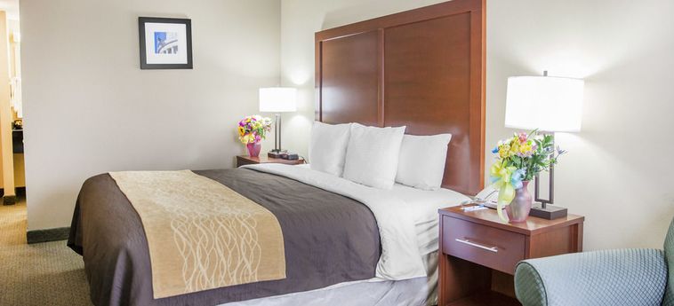 Hotel Comfort Inn Near The Pentagon Washington (Dc): Foto 