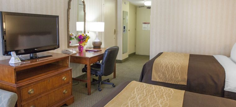 Hotel Comfort Inn Near The Pentagon Washington (Dc): Foto 
