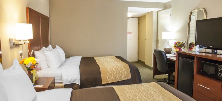 Hotel Comfort Inn Near The Pentagon Washington (Dc): Foto 