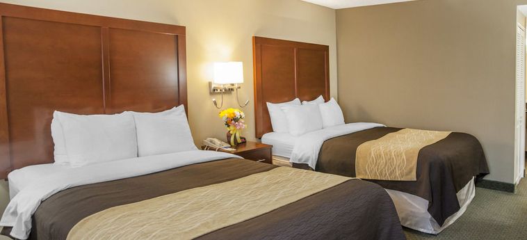 Hotel Comfort Inn Near The Pentagon Washington (Dc): Foto 