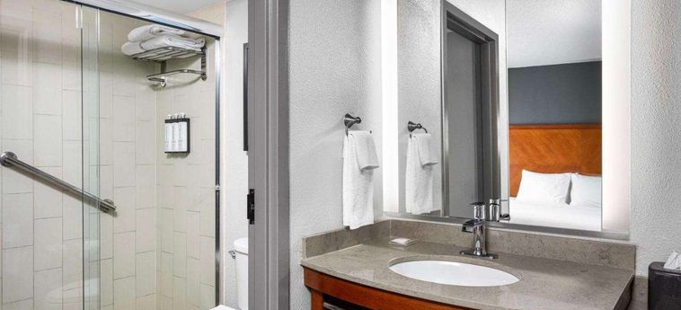 Hotel Hyatt Place Sterling - Dulles Airport - North Washington (Dc): Photo 