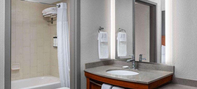 Hotel Hyatt Place Sterling - Dulles Airport - North Washington (Dc): Photo 