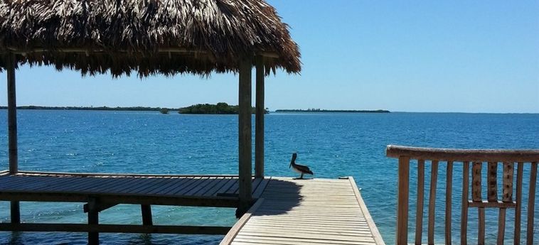 Hotel Yok Ha Belize Resort:  WATERFOOT CAYE