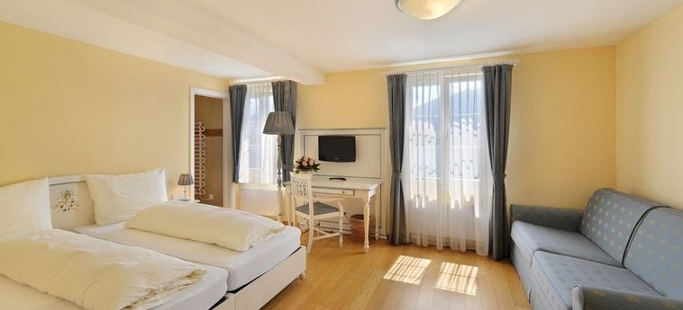 Seehof Hotel Du Lac:  WEGGIS