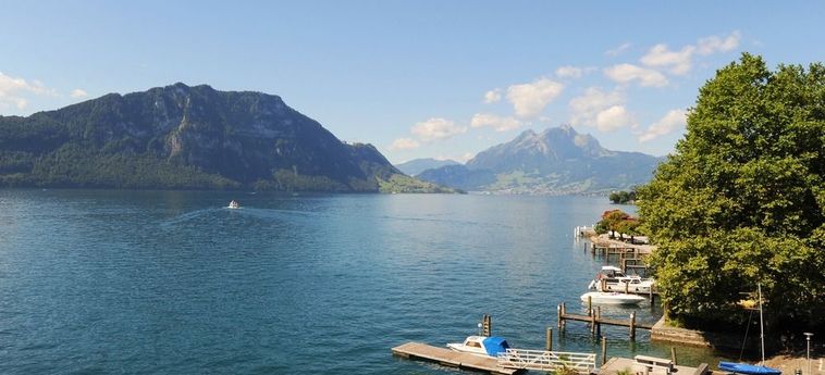 Seehof Hotel Du Lac Weggis: Foto 