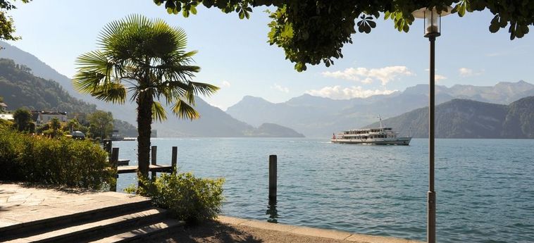 Seehof Hotel Du Lac Weggis: Foto 