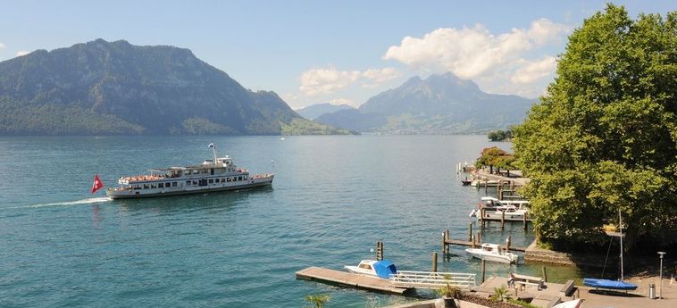 Seehof Hotel Du Lac Weggis: Foto 