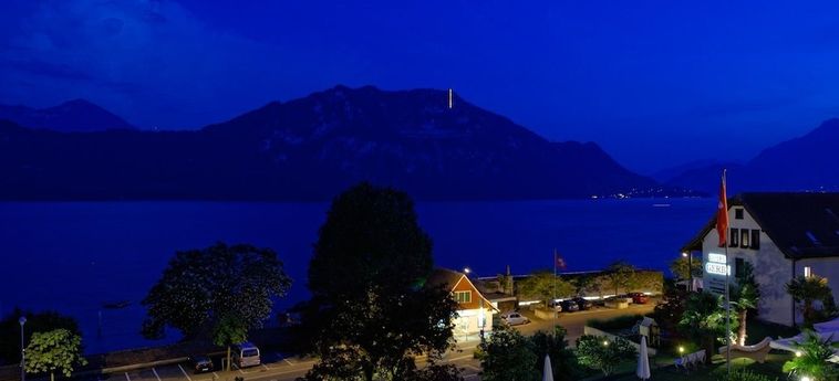 See &Amp; Wellnesshotel Gerbi Weggis: Foto 