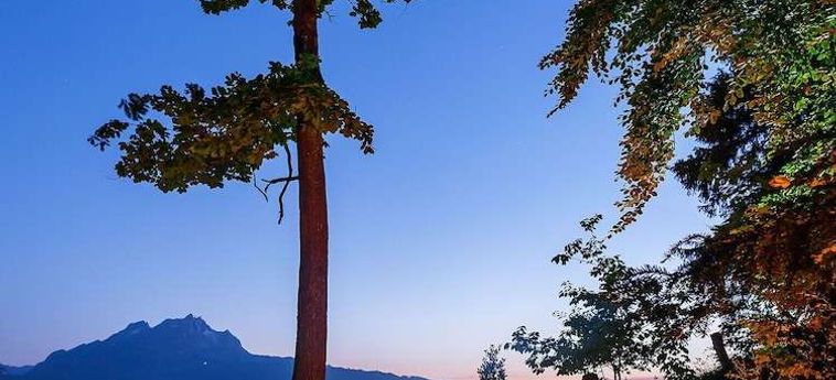 Campus Hotel Hertenstein Weggis : Photo 
