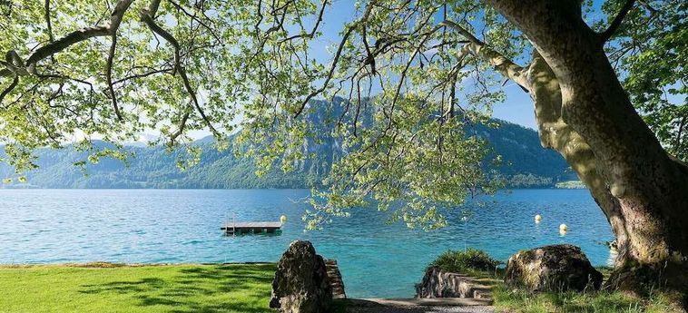 Campus Hotel Hertenstein:  WEGGIS