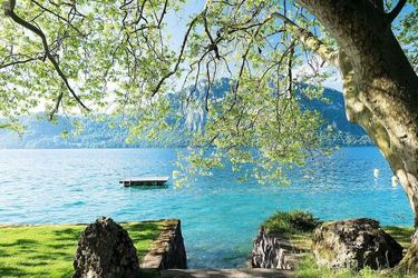 Campus Hotel Hertenstein Weggis: Photo 