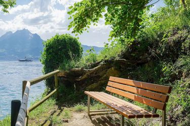 Campus Hotel Hertenstein Weggis: Photo 