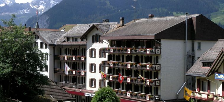 Hôtel SUNSTAR ALPINE HOTEL WENGEN