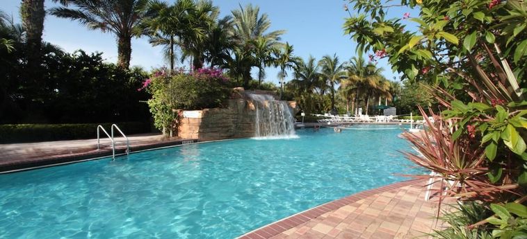 Hotel Vacation Village At Bonaventure Weston (Fl) : Photo 