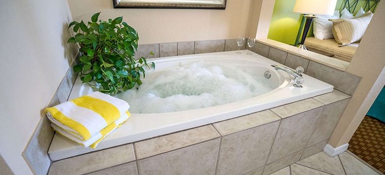 Hotel Vacation Village At Bonaventure Weston (Fl): Photo 