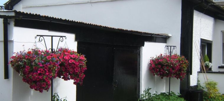 Faythe Guesthouse:  WEXFORD