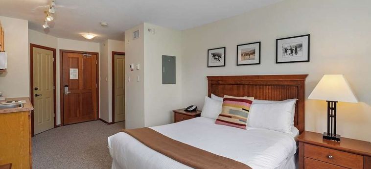 Hotel Ace Cascade Whistler : Photo 