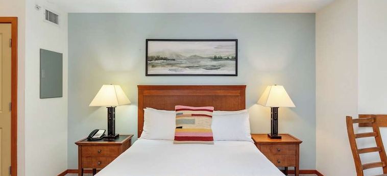 Hotel Ace Cascade Whistler : Photo 